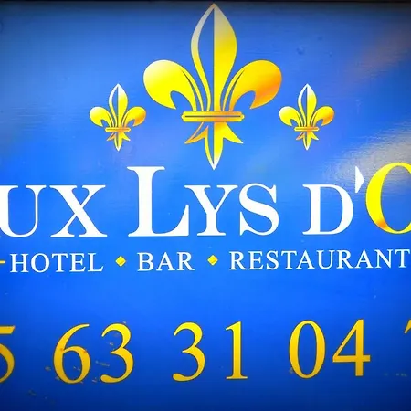 Hotel Aux Lys D'or Realville