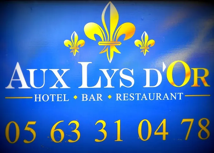 Hotel Aux Lys D'or Réalville