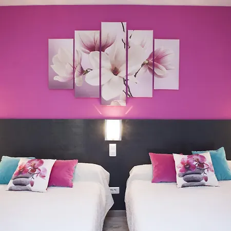 酒店 奥斯利朵酒店 2*